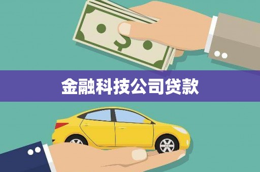鹤峰金融科技公司贷款