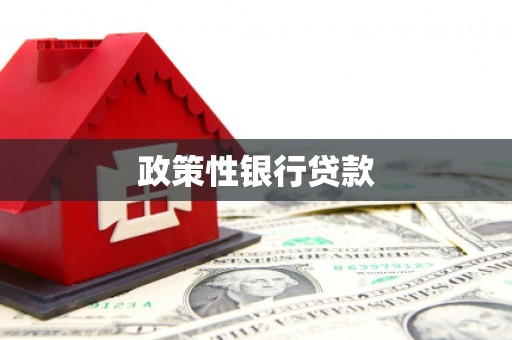 鹤峰政策性银行贷款
