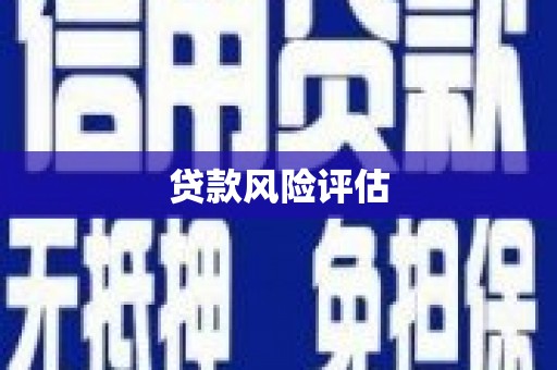 鹤峰贷款风险评估