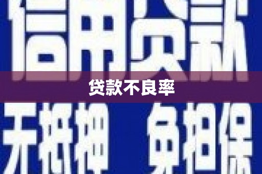 鹤峰贷款不良率