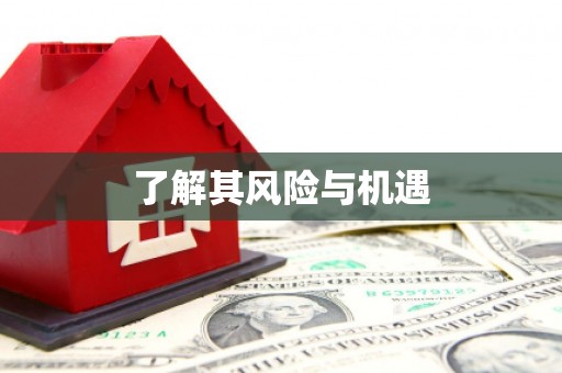 鹤峰了解其风险与机遇