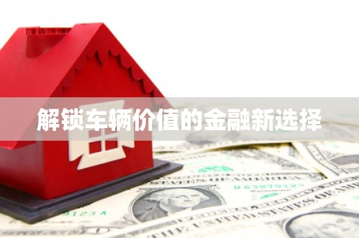 鹤峰解锁车辆价值的金融新选择