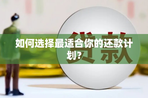 鹤峰如何选择最适合你的还款计划？