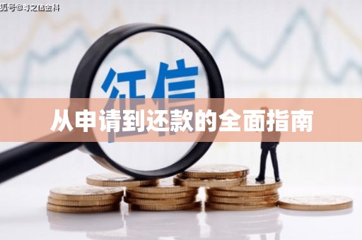 鹤峰从申请到还款的全面指南