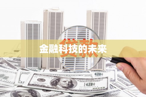 鹤峰金融科技的未来
