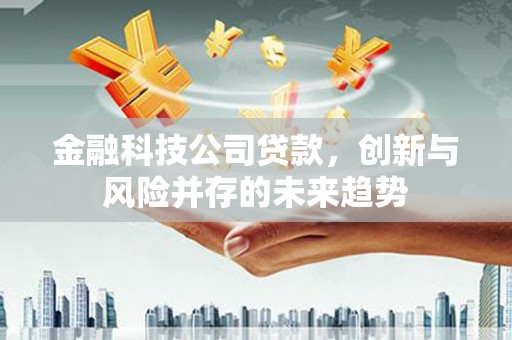 鹤峰金融科技公司贷款，创新与风险并存的未来趋势