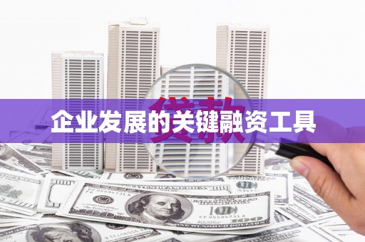 鹤峰企业发展的关键融资工具