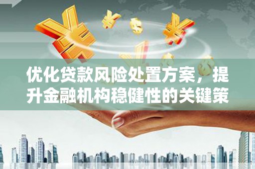鹤峰优化贷款风险处置方案，提升金融机构稳健性的关键策略