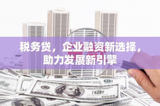 鹤峰税务贷，企业融资新选择，助力发展新引擎