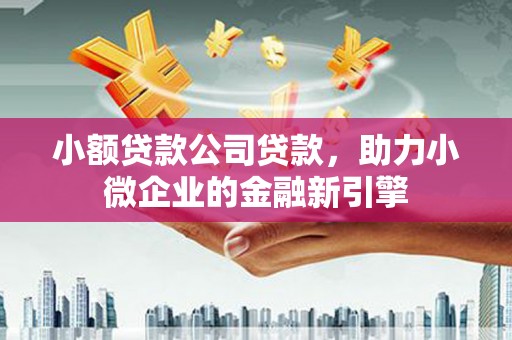 鹤峰小额贷款公司贷款，助力小微企业的金融新引擎
