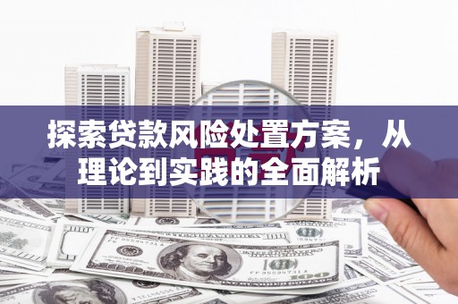 鹤峰探索贷款风险处置方案，从理论到实践的全面解析