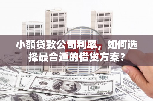 鹤峰小额贷款公司利率，如何选择最合适的借贷方案？