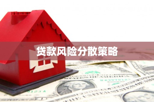 鹤峰贷款风险分散策略