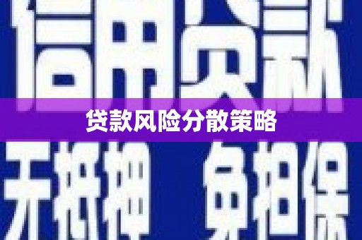 鹤峰贷款风险分散策略