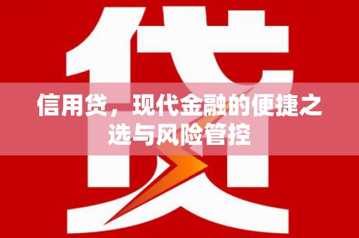 鹤峰信用贷，现代金融的便捷之选与风险管控