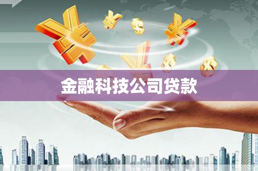 鹤峰金融科技公司贷款
