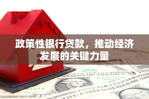 鹤峰政策性银行贷款，推动经济发展的关键力量