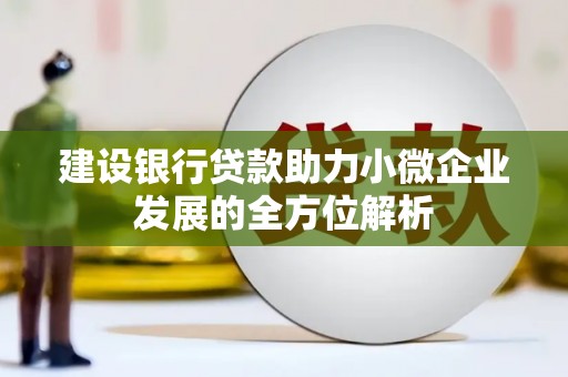 鹤峰建设银行贷款助力小微企业发展的全方位解析