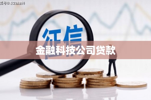鹤峰金融科技公司贷款