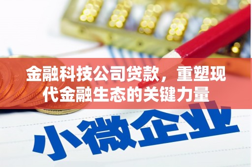 鹤峰金融科技公司贷款，重塑现代金融生态的关键力量
