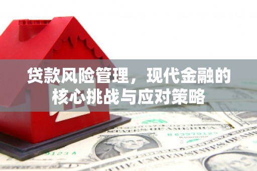 鹤峰贷款风险管理，现代金融的核心挑战与应对策略