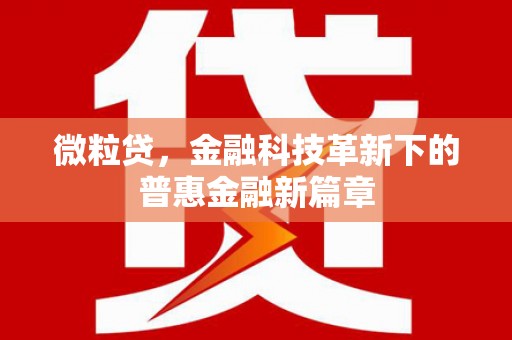 鹤峰微粒贷，金融科技革新下的普惠金融新篇章