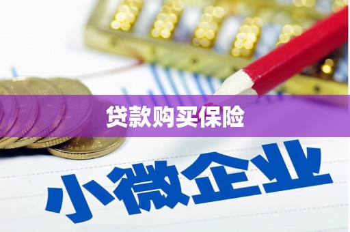 鹤峰贷款购买保险