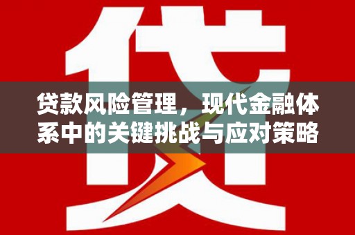 鹤峰贷款风险管理，现代金融体系中的关键挑战与应对策略