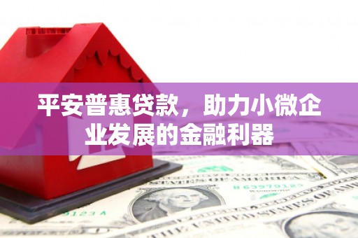 鹤峰平安普惠贷款，助力小微企业发展的金融利器