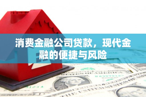 鹤峰消费金融公司贷款，现代金融的便捷与风险