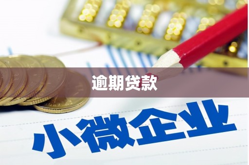 鹤峰逾期贷款